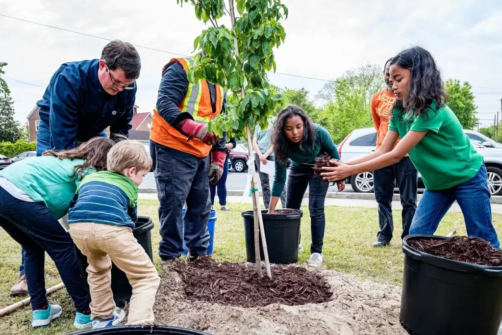 Community volunteers planting a tree together outdoors, enhancing green spaces and teamwork.