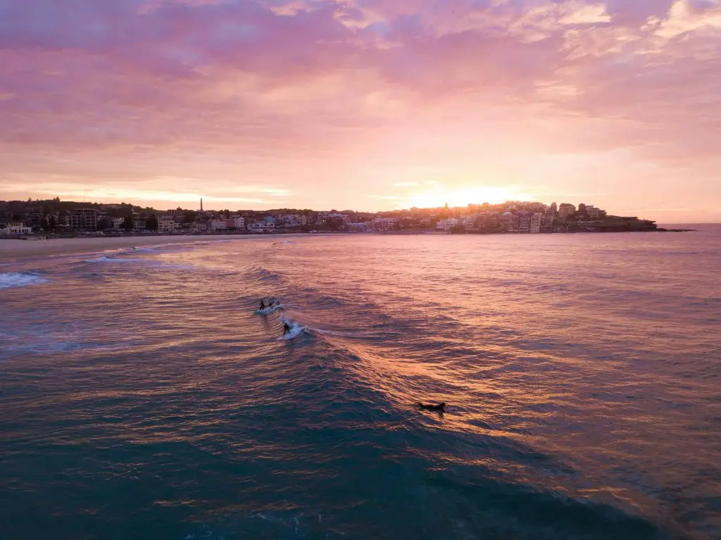 Surfers riding waves at sunrise near the shoreline, pink and orange sky over the ocean.